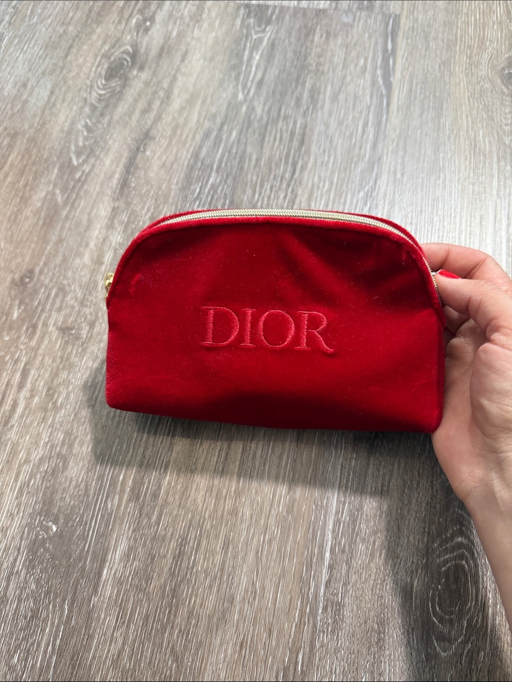 Dior Red Velvet Embroidered Zip Cosmetic Pouch